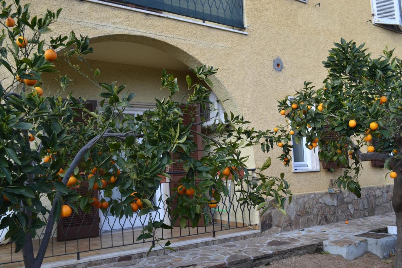 Bed & Breakfast Etesia Olbia